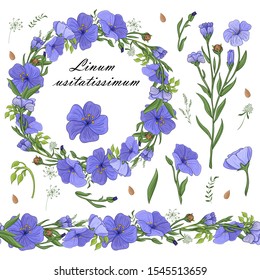 floral set of seamless floral brushes from flax flowers and a beautiful wreath. Isolated and hand drawn illustration of flax flowers and other plant elements. Floral background. Latin name