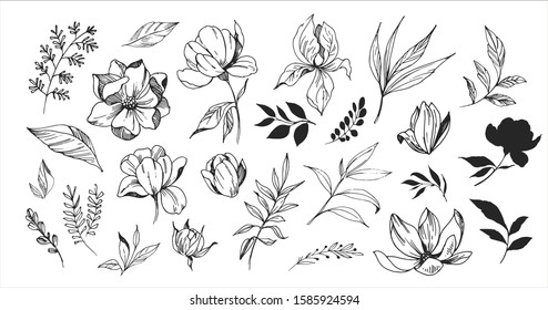 Floral set. Sketches of flowers, plants, leaves. Hand drawn illustration converted to vector. Outline with transparent background 