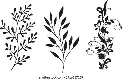 Floral set. Sketches of flowers, plants, leaves. Hand drawn illustration converted to vector