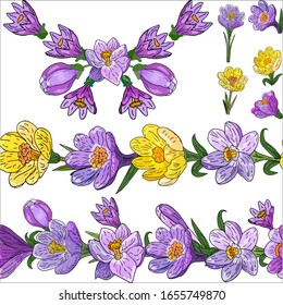 Floral set with spring crocuses: seamless brush with crocuses, frames with crocus, floral isolated elements for design on a white background in vector.