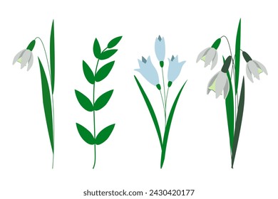 Floral set of spring wildflowers. Delicate blooming primroses, crocuses, white snowdrops, green herbs. isolated elements on white background. Hand drawn vector illustration cartoon flat style.