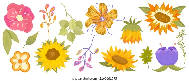 Floral set with sunflower, eucalyptus, leaves and colorful plants. Summer cartoon set of flowers isolated on white background. Vector illustration.