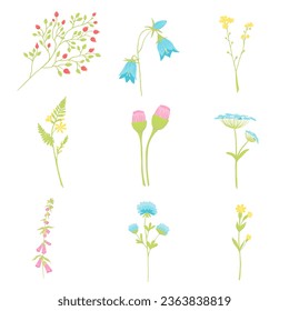 Floral set, tiny flowers illustration