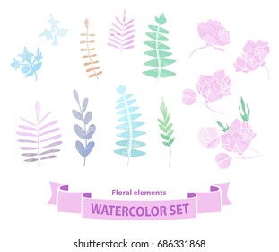 Floral set. Vector. Colorful floral collection with leaves and pions. Watercolor . Spring or summer design for invitation, wedding or greeting cards.