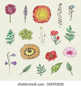 Floral set. Vector hand drawn illustration.