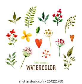 Floral Set with Watercolor Flowers for Summer or Spring Cards, Invitations, Flyers, Banners or Posters Design. Aquarelle Flowers and Leaves Collection for Greeting and Wedding Cards