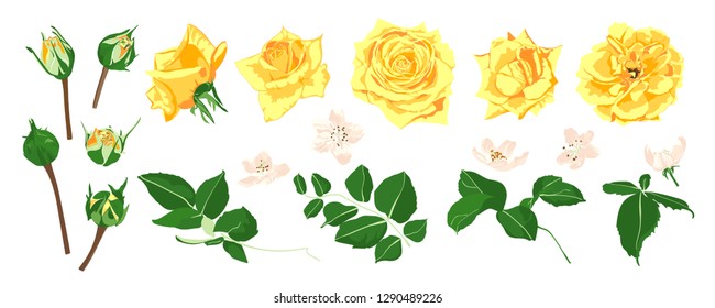 Floral Set, Wedding Rose Bouquet. Vector Yellow Flowers with Green Leaves. Vintage Floral Collection for Card or Invite Design. Hand Drawn Watercolor Decorative Elements. Romantic Spring Floral Set.