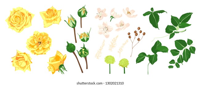 Floral Set, Wedding Rose Bouquet. Vector Yellow Flowers with Green Leaves. Vintage Floral Collection for Card or Invite Design. Hand Drawn Watercolor Decorative Elements. Romantic Spring Floral Set.