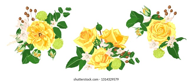 Floral Set, Wedding Rose Bouquet. Vector Yellow Flowers with Green Leaves. Vintage Floral Collection for Card or Invite Design. Hand Drawn Watercolor Decorative Elements. Romantic Spring Floral Set.