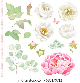 Floral set with white Roses, pink Peony, green leaves and Succulent, branches Silver Dollar Eucalyptus, Hypericum Berries and flying butterfly. Elegant vector illustration in romantic style.