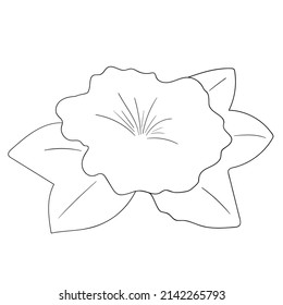 Floral silhouette art line. Flowers in continuous line drawing style. Border with tropical flower. Minimalist black linear sketch. Trendy vector illustration isolated. Contour graphics for design.