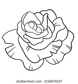 Floral silhouette art line. Flowers in continuous line drawing style. Border with tropical flower. Minimalist black linear sketch. Trendy vector illustration isolated. Contour graphics for design.