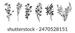 Floral silhouette icon set, vector flower black print, wedding invitation botanical minimal design. Spring nature plant illustration, wild herbs tree branches, bushes, meadow grass. Floral silhouette