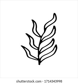 Floral silhouettes. Hand drawn tree branches with leaves. Black and white botanical illustration. Doodle vector illustration.