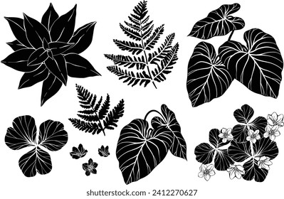 Floral silhouettes set. Leaves and herbs. Botanical illustration. Vector design elements.