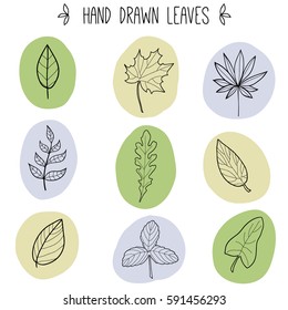 Floral simple graphic collection. Set of sketches and line doodles. Hand drawn design botany elements. Isolated different leaves for decoration. Vector nature illustration