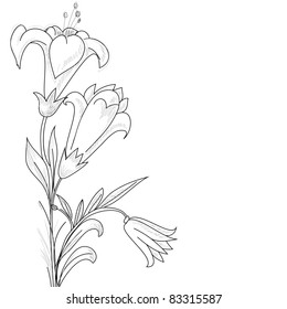 Esbozo floral