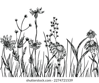 Floral Sketch Hand Drawn Background, Wild Flowers