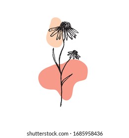 Floral sketch illustration with abstract shape compositions. Great for invitation, greeting card, packages, wrapping, premade logo, business card, stationery, etc.