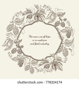 Floral sketch light template with text in elegant frame and beer hop branches in vintage style vector illustration