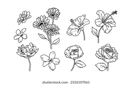 Floral Sketch line style elements set, Hand drawn floral in silhouette style. Vector set for label, logo, corporate identity, wedding invitation, frame, border. illustration on white background