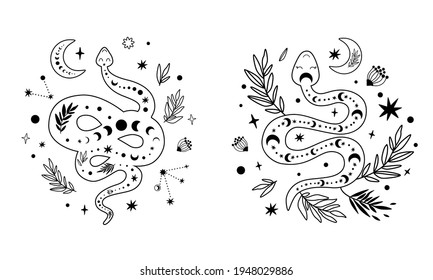 Floral snake set. Celestial serpent moon phase, flowers, leaves, crescent. Mystical hand drawn graphic element.