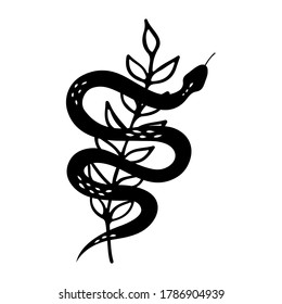 Floral Snake silhouette with branch. Boho and gothic aesthetic. Print for greeting cards, postcards, invitations, stationery, labels, tags, logo and branding. Black silhouette snake cartoon vector.