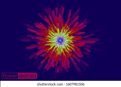 floral splash art abstract vector display