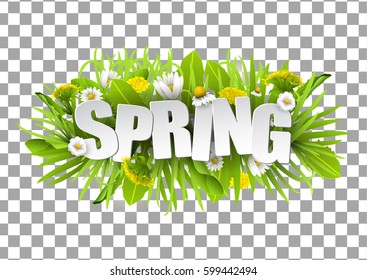 Floral spring background with dandelions and chamomiles on transparent grid background.