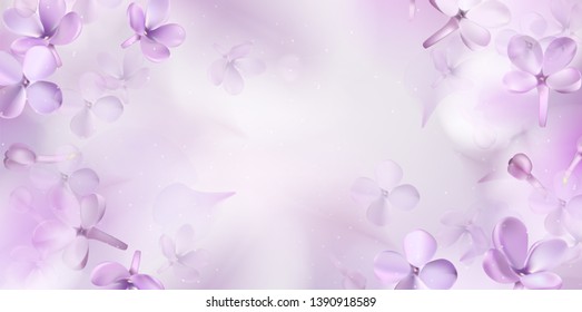 Floral spring background and purple lilac flowers