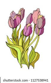 Floral Spring Design of Bouquet of Tulips. Isolated tulips on white background. Vector illustration.