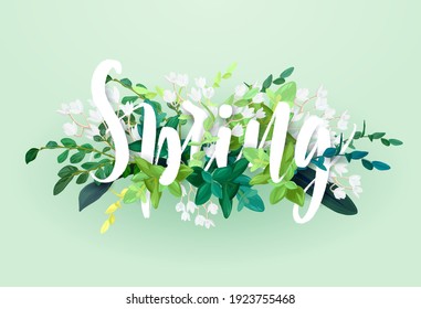 Floral spring design with white flowers, green leaves, eucaliptus and succulents. Vector illustration.