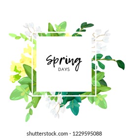 Floral spring design with white and yellow flowers, green leaves, eucaliptus and succulents. Geometric square frame with space for text, vector illustration.
