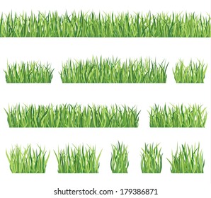 Floral spring nature border decor collection. Herb meadow backgrounds. Summer seamless frame collection.