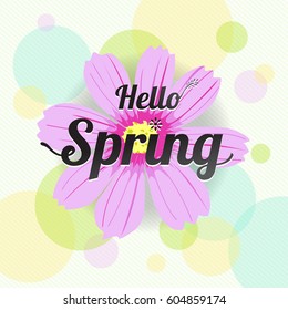 Floral spring with pink flower and colorful background