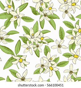 Floral spring seamless pattern of isolated hand drawn flowers in sketch style. Vector illustration. 