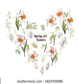 Floral spring set. realistic, hand-drawn elements, bouquets. flowers (daffodil, Lily of the valley, bell) for advertising, Wallpaper, paper, decor, postcard, invitation