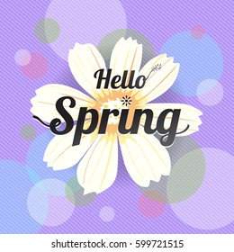 Floral spring with white flower and colorful violet background