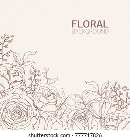 Floral square backdrop with gorgeous blooming rose flowers, leaves and inflorescences growing from bottom edge hand drawn with contour lines on light background. Botanical vector illustration.