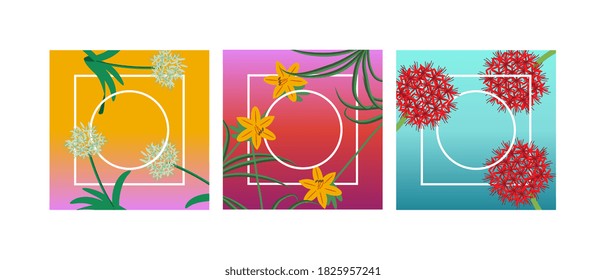 Floral square backgrounds vector set