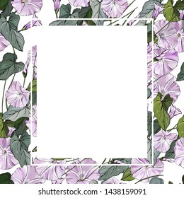 Floral square frame with flowers bindweed and green leaves on white background. Suitable for your design, cards, invitations, gifts.