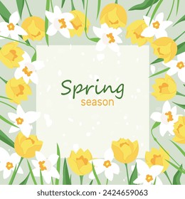 Floral square frame. Spring flowers blooming tulips and daffodils. Flat style vector design, decoration for greeting card, social media posts, apps, invitations, advertising, Women's or Mother's day