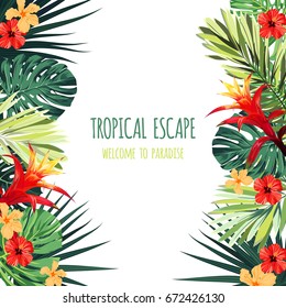 Floral Square Postcard Design With Guzmania And Hibiscus Flowers, Monstera And Royal Palm Leaves. Exotic Hawaiian Vector Background.