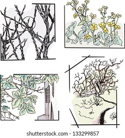 Floral still lifes. Set of vector sketches.
