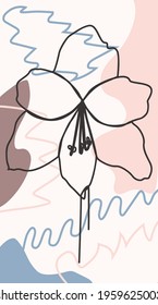 Floral stories template. Garden flora poster, flowers composition layout and trendy social media story templates