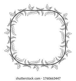 floral style border, frame theme of plant stem and leaf, text border with natural style.