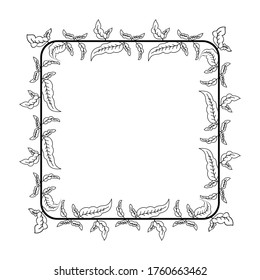 floral style border, frame theme of plant stem and leaf, text border with natural style.
