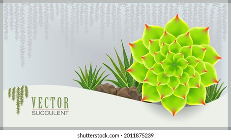 Floral succulent and petals with red tips and aloe Vera plants in the background