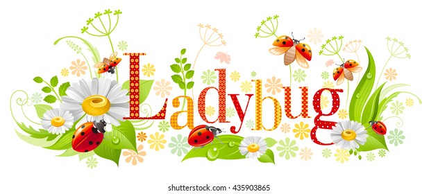 Floral summer background with beautiful white daisy flowers, leafs, grass and word ladybug