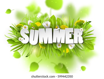 Floral summer background with dandelions and chamomiles. Blurred green leafs on white background.